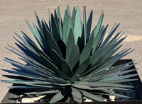 Yucca Metal